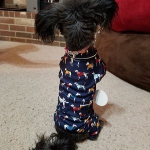 harry barker dog pajamas
